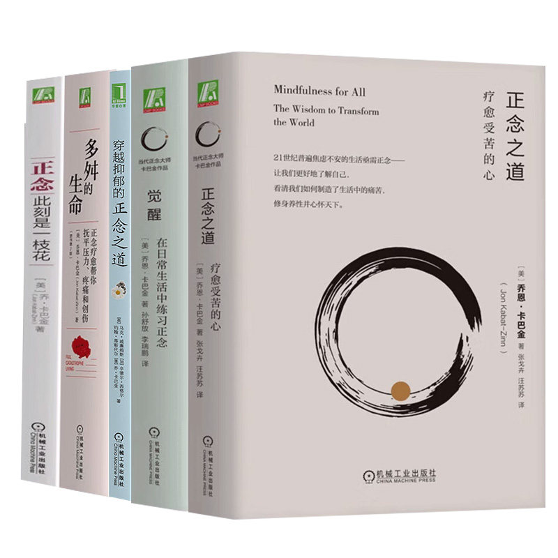 正念大师卡巴金作品集5册 正念之道 疗愈受苦的心+穿越抑郁的正念之道 +正念 此刻是一枝花+多舛的生命+觉醒 在日常生活中练习正念