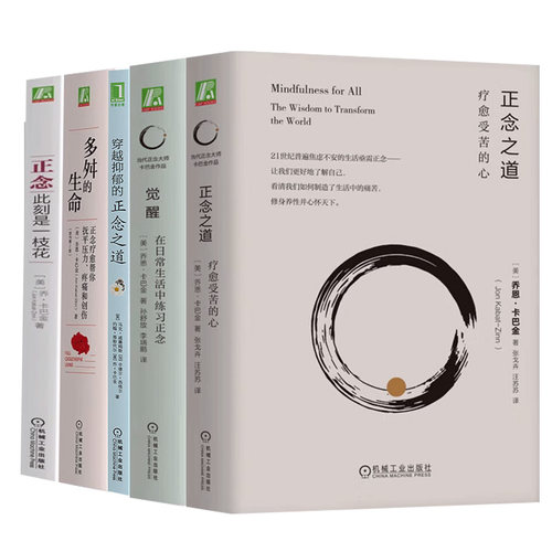 正念大师卡巴金作品集5册 正念之道 疗愈受苦的心+穿越抑郁的正念之道 +正念 此刻是一枝花+多舛的生命+觉醒 在日常生活中练习正念