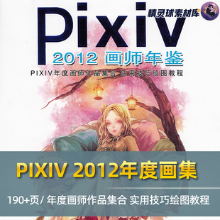 鉴赏 百位插画师个人风格 绘图技巧参考图鉴 2012年度画集 PIXIV