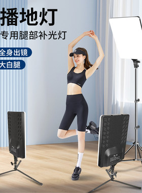 美腿灯柔光地灯腿部补光