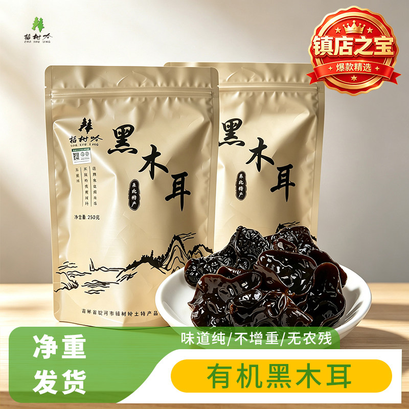 插树岭有机黑木耳 东北特产500g黄松甸黑木耳冒菜食材麻辣烫