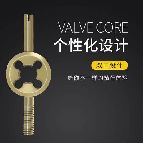 纯铜气门芯汽车轮胎自行