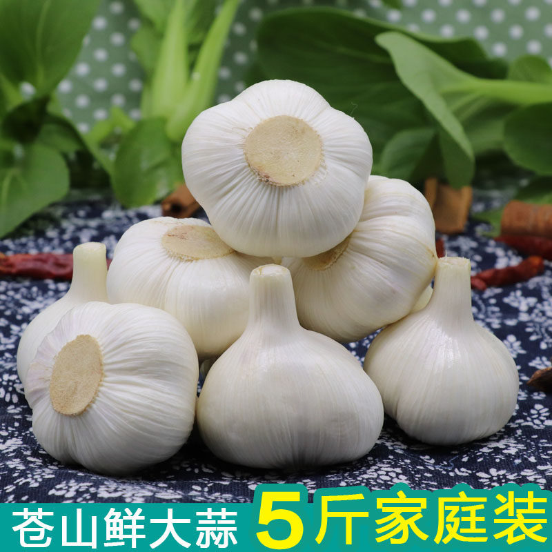 2026年新鲜大蒜头湿苍山兰陵