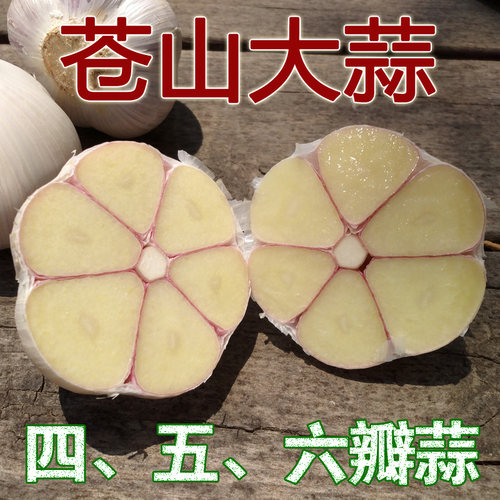 正宗六瓣大蒜斤装沂蒙山呼吸
