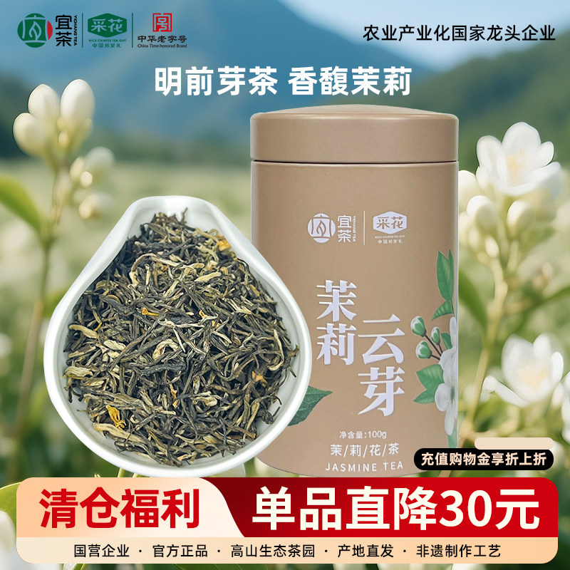 【采花毛尖】茉莉花茶毛尖特级浓香型茶叶自己喝茉莉云芽飘香100g图片