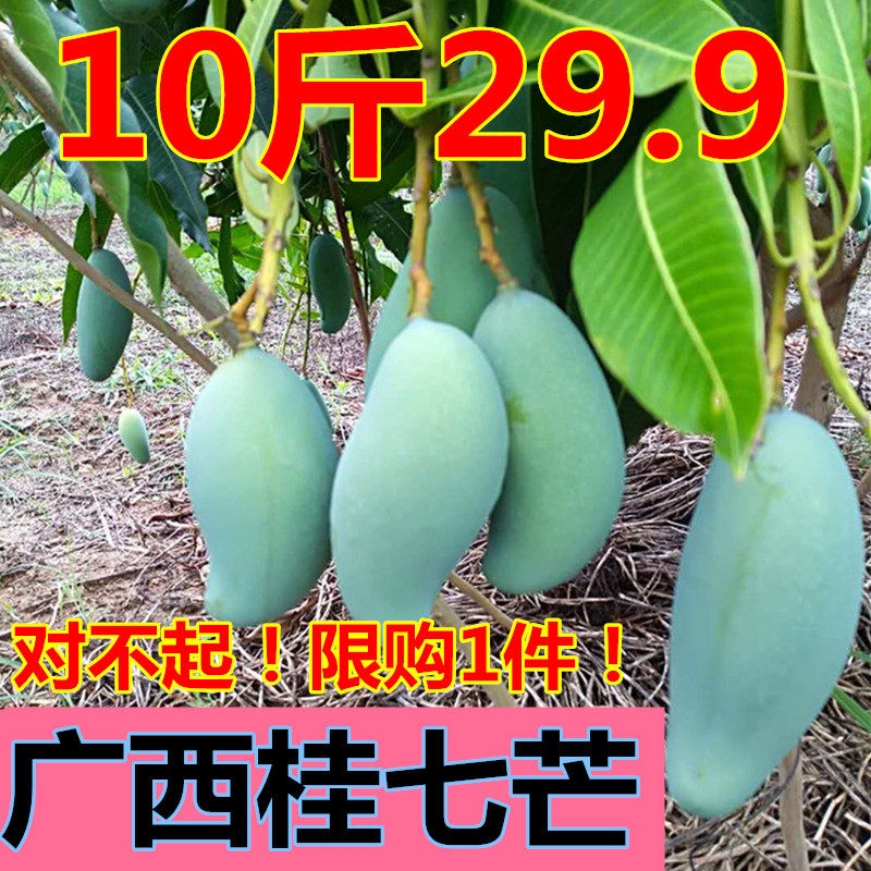 自然熟桂七广西百色桂七芒果新鲜包邮10斤带箱小核薄皮青皮园直发|msdalam kategori daging perikanan/Buah-buahan segar dan sayur-sayuran/dimasak, buah-buahan segar, Mango - dari Buy2taobao.com untuk memberikan perkhidmatan ejen Taobao profesional membeli