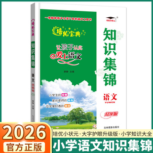 2026新版 培优宝典培优小状元 小升初知识集锦语文升级版一二三四五六年级人教版全国通用阅读理解考点知识大盘点全归纳大全