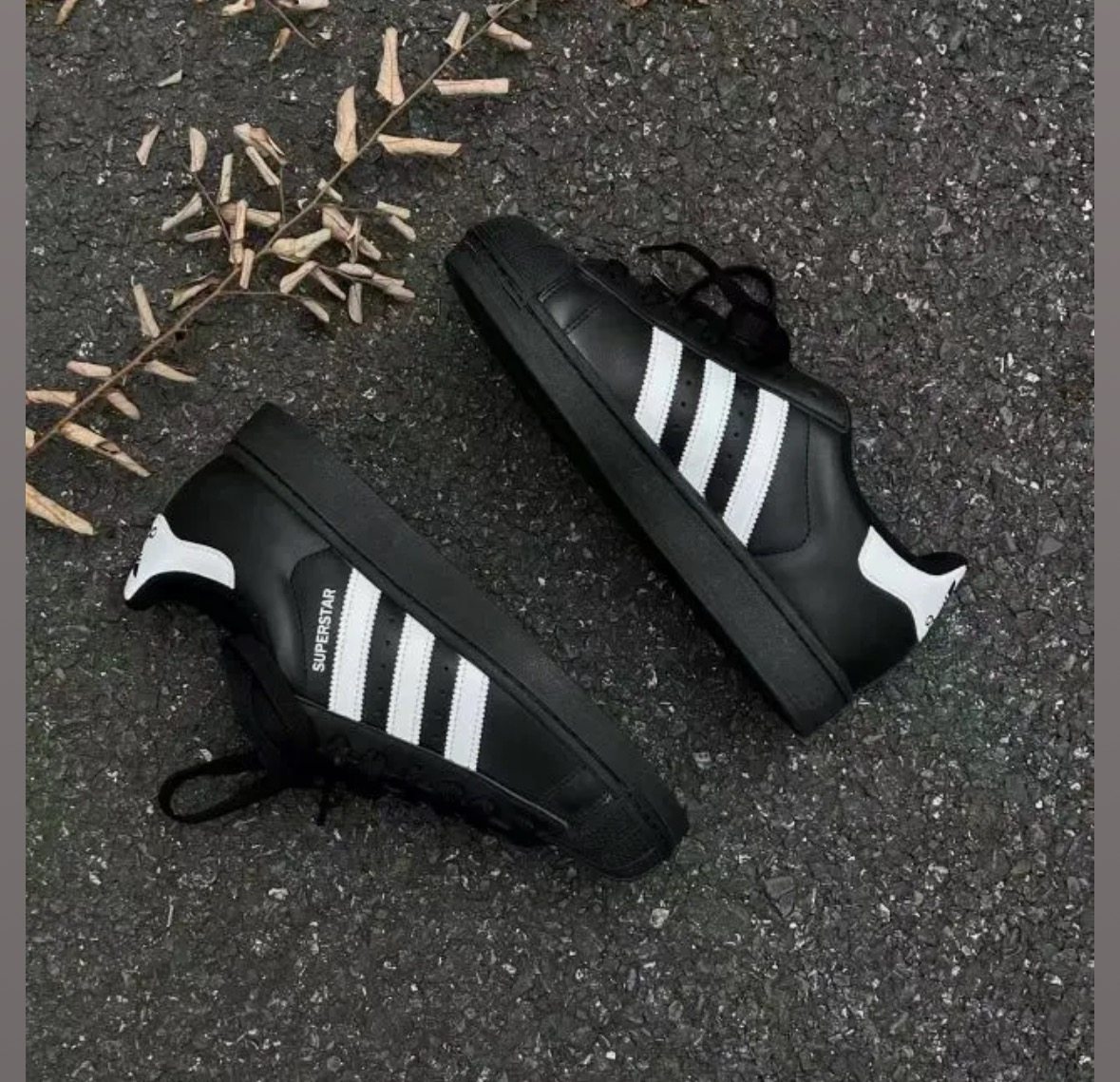 阿迪达斯/adidas  Superstar 2 舒适百搭薄底耐磨低帮 板鞋JI0079,运动鞋new,跑步鞋,淘宝优惠券,粉丝福利购,淘宝优惠卷