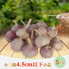 21.88元包邮  金乡大蒜 紫皮富硒大蒜 4.5cm直径 5斤装