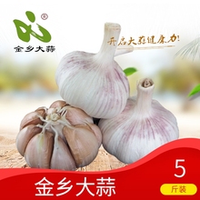 2019金乡新鲜蒜头缺瓣 裂皮蒜红皮白皮大蒜 5斤装净重