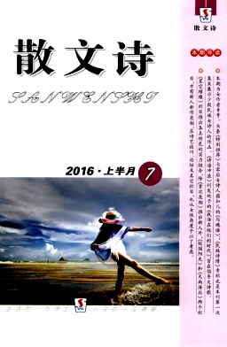 订阅专业期刊下单成功不支持任何理由退换货