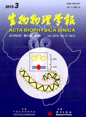 【2026年订阅】生物物理学报(英文版)Biophysics Reports1月起订全年6期订阅