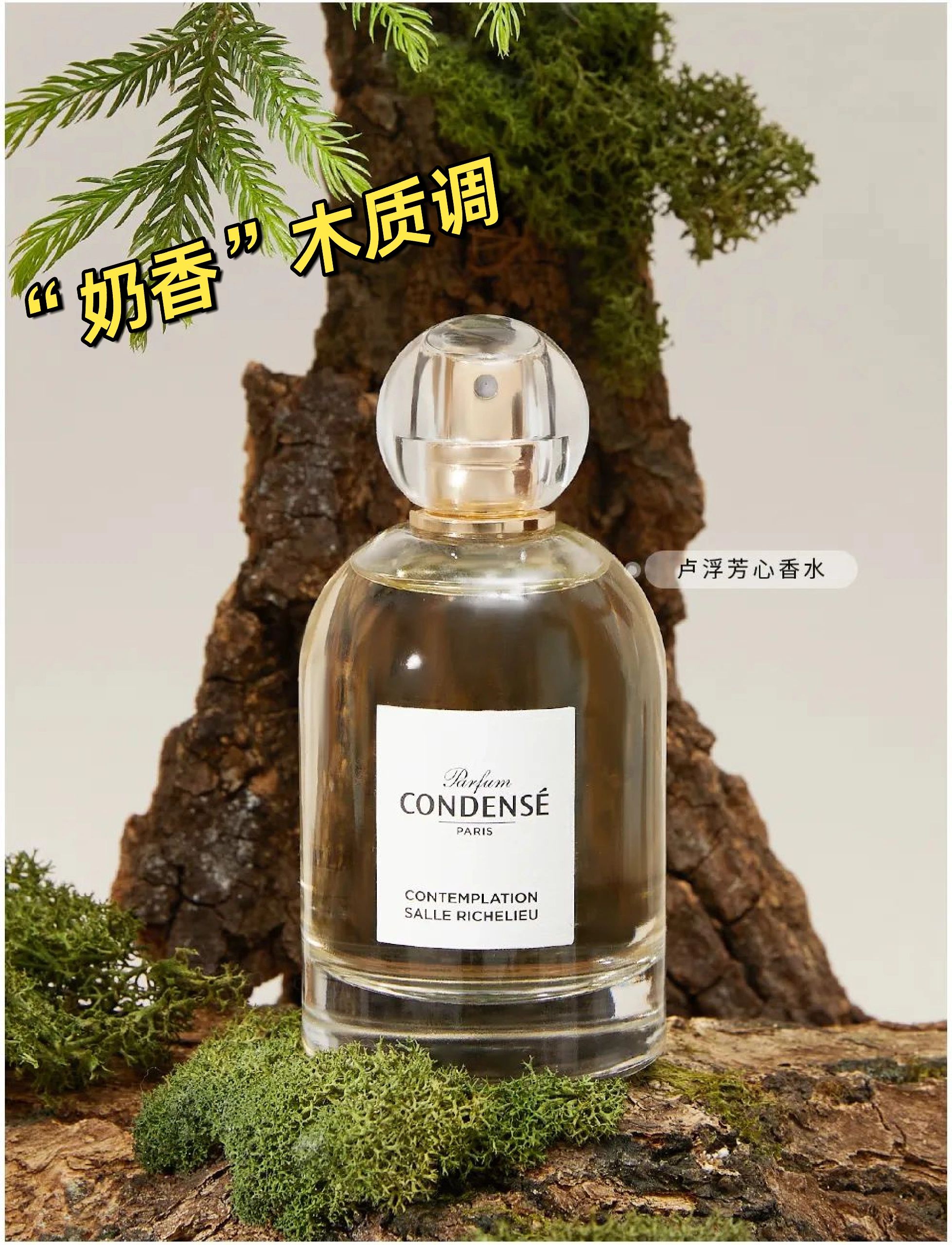 condense香水正品试香