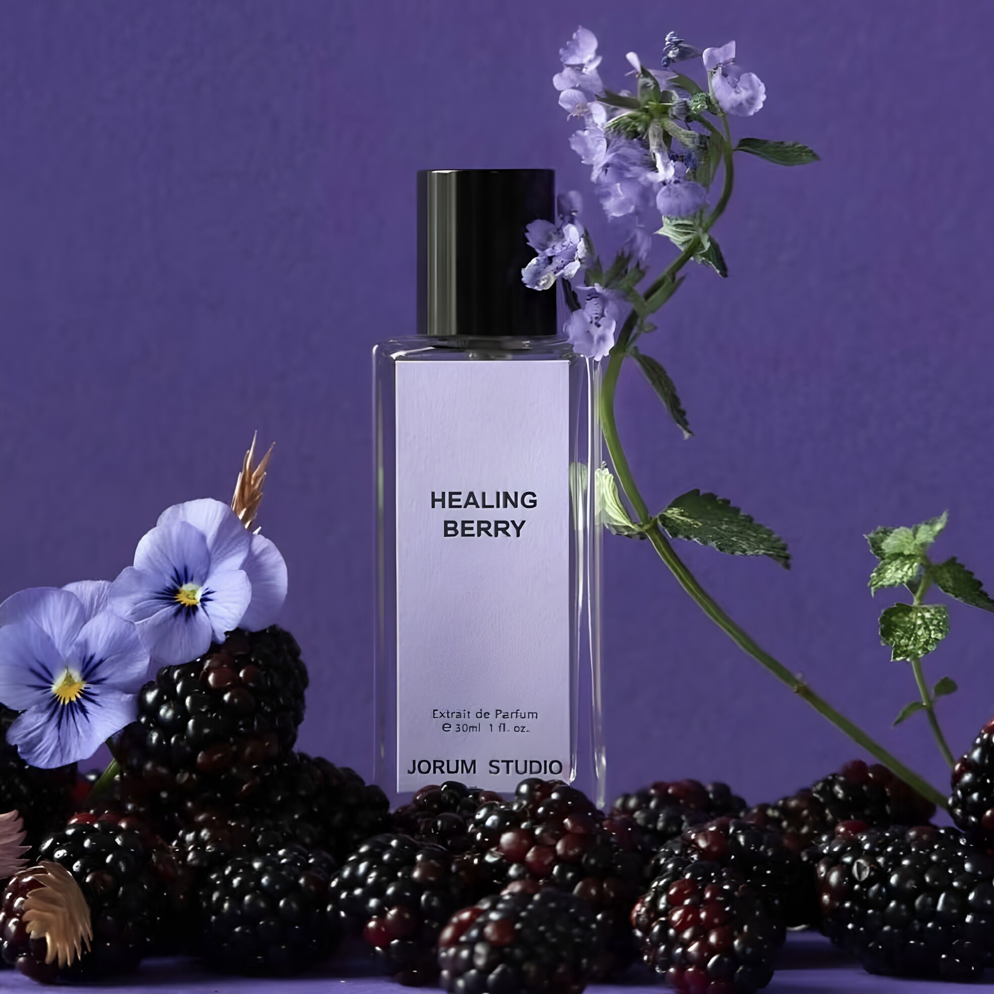 Jorum Studio愈莓HEALING BERRY白蜡树香水飞稚飞蓟金雀之地小样