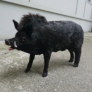 大号仿真野猪模型影视拍摄假猪道具大型猪摆件场景布置黑猪工艺品