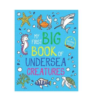 涂色启蒙书：海底生物My Boo Bee Coloring 预售 我 Undersea Big First 儿童趣味图书Little Book Creatures英文进口原版