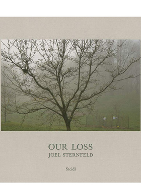 【现货】乔·斯坦菲尔德：我们的损失JOEL STERNFELD: OUR LOSS英文原版摄影集 外版进口图书