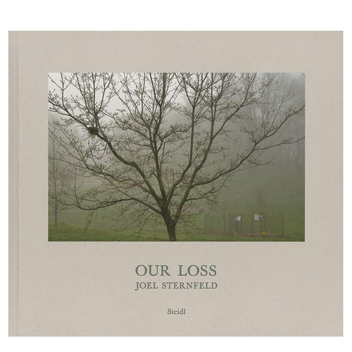 【预售】乔·斯坦菲尔德：我们的损失JOEL STERNFELD: OUR LOSS英文原版摄影集 外版进口图书