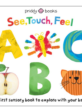 【预售】【First Sensory Book】See Touch Feel ABC，【感官认知书】观看/触摸/感受：Priddy 儿童趣味 Priddy Books