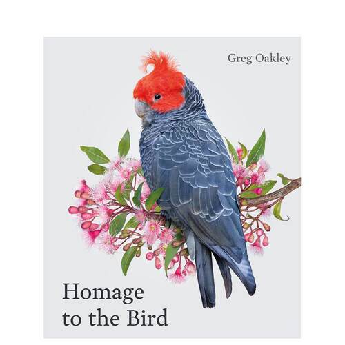 飞鸟礼赞 Homage to