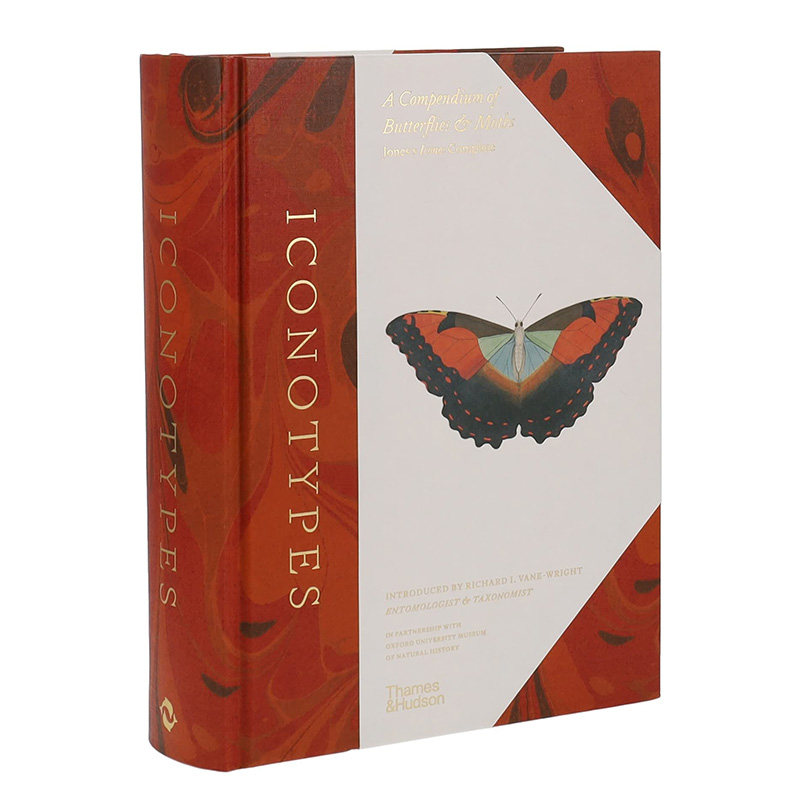 【现货】Iconotypes : A compendium of butterflies 琼斯图标大全:蝴蝶及飞蛾简编 英文原版图书籍进口正版 T&H 社会科学