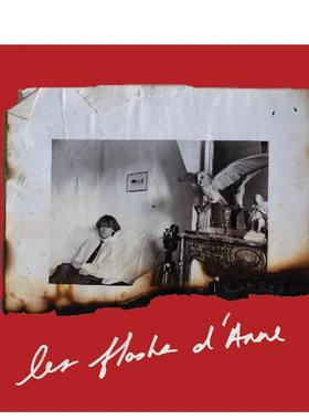 【预售】安妮之日：安妮的瞬间闪光 Anne Day: Les Flashes D'Anne 英文进口原版英文进口原版文学传记外文图书Anne Day