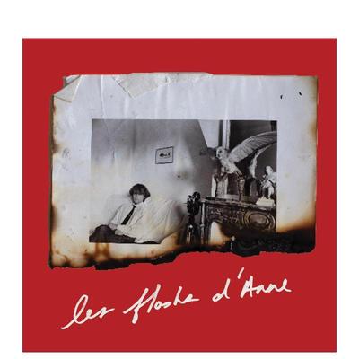 【预售】安妮之日：安妮的瞬间闪光 Anne Day: Les Flashes D'Anne 英文进口原版英文进口原版文学传记外文图书Anne Day