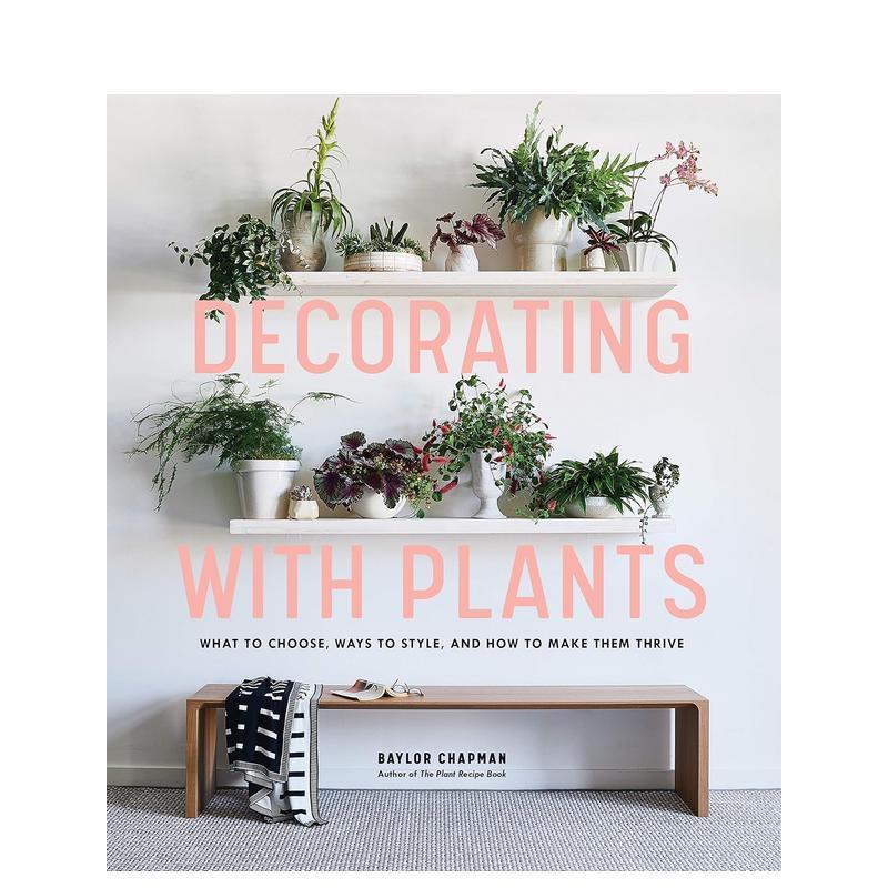 居室植物装饰 Decorati