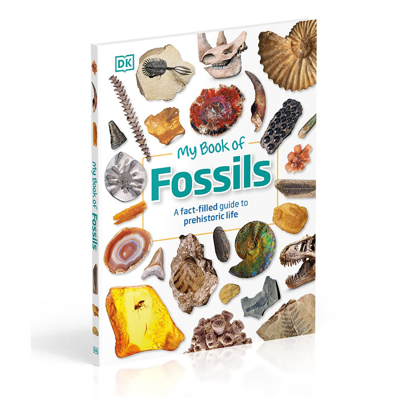 【预售】My Book of Fossils，我的化石之书青少年读物儿童章节书绘本英文原版图书籍进口正版 Dean R. Lomax