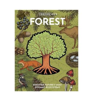 Forest英文进口原版 Books百科 里里外外 Chartwell 儿童绘本图书Editors Out Inside 森林 现货