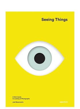 【预售】乔尔·迈耶罗维茨 看见事物 Joel Meyerowitz: Seeing Things 英文进口原版摄影作品集
