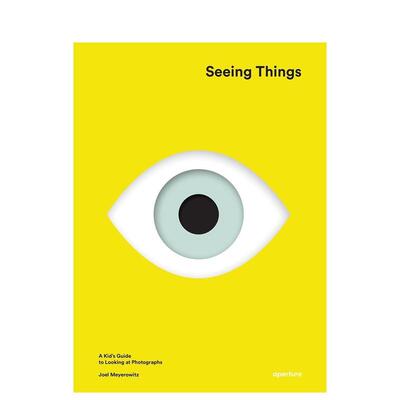 【预售】乔尔·迈耶罗维茨 看见事物 Joel Meyerowitz: Seeing Things 英文进口原版摄影作品集