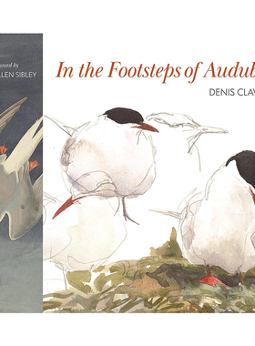 【现货】In the Footsteps of Audubon，追随奥杜邦的脚步 英文原版图书籍进口正版 John James Audubon, Denis Clavreul