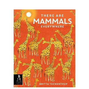 【预售】随处可见的哺乳类动物（平装） 【Britta Teckentrup Everywhere】There are Mammals Everywhere英文进口原版儿童绘本图