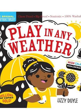 【预售】咬咬书：随时随地畅玩 Indestructibles: Play in any Weather英文进口原版儿童趣味图书Amy Pixton外文