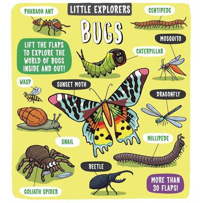 【现货】【小探险家】昆虫Little Explorers: Bugs英文儿童图书籍进口原版Templar Publishing3-6岁