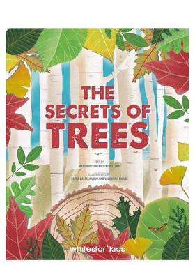 【预售】树木的生命Lives Of Trees英文进口原版儿童绘本图书Novellino  Castelnuovo  Figus百科