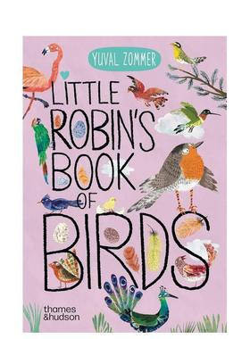 【现货】小罗宾的鸟类之书【The Big Book】Little Robin's Book of Birds英文进口原版儿童绘本图书Yuval Zommer百科