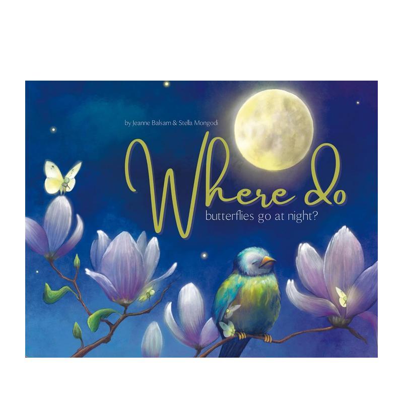 蝴蝶夜归何处？ Where D