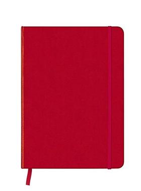 【现货】CoolNotes Medium 16 22cm Red Argyle Rose 中号 笔记本 红色 原版笔记本Notebook