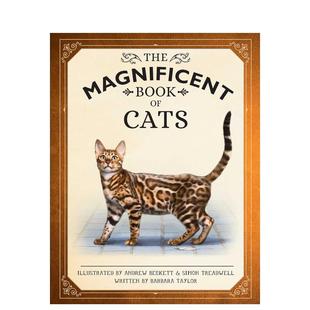 Cats英文进口原版 Beckett百科 壮丽 Andrew Taylor 儿童绘本图书Barbara Book 猫咪科普书Magnificent 预售