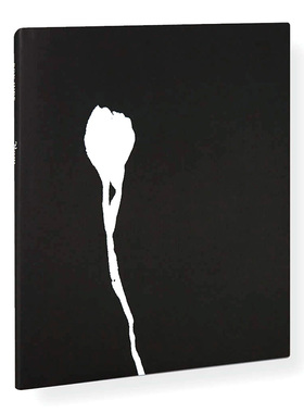 【预售】【翰德原版】Nausea，眩晕 英文原版图书籍进口正版 Ron Jude 摄影-摄影师专辑