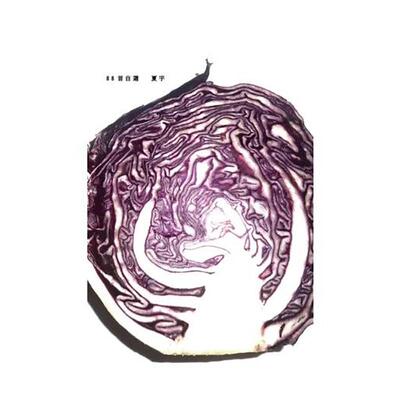 【现货】88首自选 港台进口原版中文繁体诗歌图书台版文学 夏宇【翰德图书】