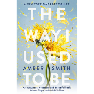 【现货】【翰德原版】The Way I Used to Be，我以前的样子 英文原版图书籍进口正版 Amber Smith 青少年读物 Rock the Boat