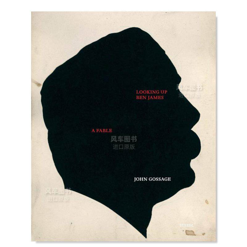 【预售】John Gossage：公路摄影John Gossage: Looking Up Ben James: A Fabl英文原版摄影集 外版进口图书