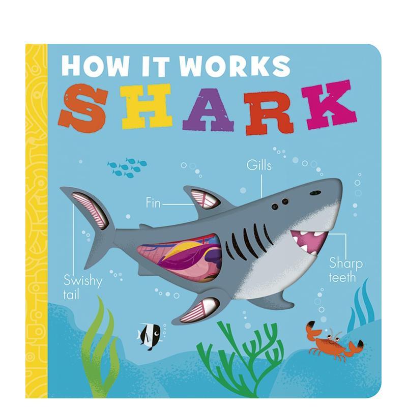 【万物运转】鲨鱼 剖面洞洞书