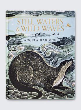 【预售】静水与狂澜：英国水域绘记 Still Waters & Wild Waves 水石书店2024年度自然图书 Angela Harding英文进口原版艺术插画集