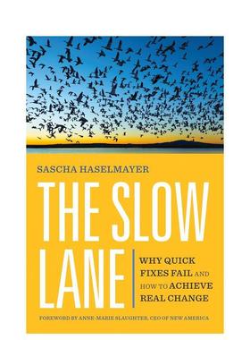 【预售】慢车道 Slow Lane 英文进口原版商业行销图书Haselmayer  Sascha