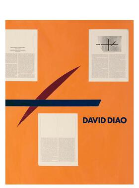 【现货】David Diao，大卫·刁 英文进口原版艺术画册画集Prestel