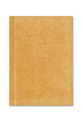【现货】 Does Yellow Run Forever?，黄色会永远流行吗?英文原版图书进口正版 摄影师保罗·格雷厄姆Paul Graham作品集 MACK